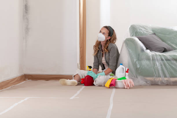 Reliable Mold Remediation contractor in Newtown, PA by Mold Remediation HQ